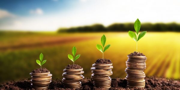 Money is born soil in the bottom of the plantations. Agribusiness profit land value and agricultural startups